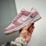 Dunk Low Eddy Bear Dz5318-640 Men And Women Size From US 5.5 To US 11